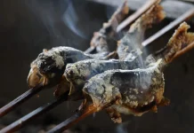 Sedap dan Menggugah Selera, Nikmatnya Lauk Ikan Asin Bakar di Meja Makan