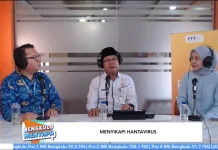 Dinkes Bengkulu Imbau Masyarakat Tidak Panik Hadapi Isu Hantavirus
