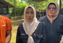 Dispangtan Kota Bengkulu Pastikan Nihil Kasus PMK jelang Iduladha 2026