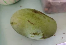 Olahan Minuman Berbahan Mangga