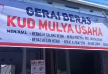 Beras Talang Benih Curup Hadapi Persaingan Komoditas