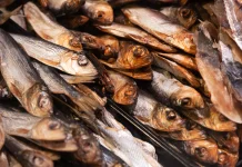 Tips Aman Konsumsi Ikan Asin agar Tetap Nikmat dan Menyehatkan