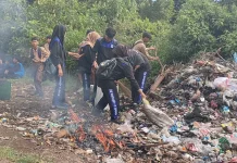 Periode Januari-Mei 2026 Hanya Ada 5 Kasus DBD di Kaur