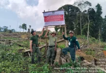 Puluhan Hektar Lahan di Kawasan TNKS Wilayah VI digarap untuk Kebun Kopi
