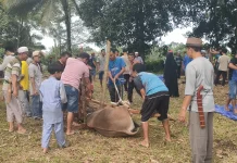 Masjid Nurul Hidayah Karang Anyar 1 Sembelih 9 Sapi dan 2 Kambing