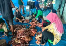 Dinkes Bengkulu Ingatkan Risiko Kolesterol Saat Iduladha 2026