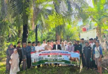 Bupati Teddy Rahman Serahkan Bantuan Sapi Kurban Presiden ke Warga Kembang Mumpo