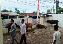 Pengurus Masjid Baitul Atiq Bengkulu Siapkan 10 Hewan Kurban