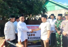 Warga Desa Cuko Enau Dapat Bantuan Sapi Kurban Dari Presiden
