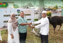 Semangat Berbagi Iduladha, Korem 041/Gamas Bengkulu Sembelih 12 Ekor Hewan Kurban