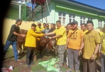 Golkar Bengkulu Salurkan Enam Hewan Kurban Iduladha 1447 H