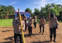 Ketahanan Pangan, Polsek Selebar Tanam Jagung di Kuartal II Tahun 2026