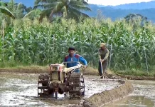 Jelang Masa Tanam, Serapan Pupuk Subsidi Meningkat