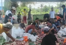 Iduladha 1446 H, Warga RT 08 Sukamerindu dan Jamaah Masjid Awaludin Sembelih Kurban
