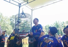 Bupati Teddy Rahman Buka Lomba Burung Berkicau Bupati Cup HUT ke-23 Seluma