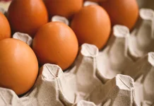 Cara Memilih Telur Ayam yang Bagus Wajib Anda Ketahui