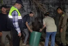 Pengaduan Ketibum, Satpol PP Kota Bengkulu Sediakan Nomor Layanan Khusus
