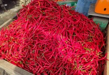 Pasca Iduladha, Harga Cabai Merah di Kota Bengkulu Masih Bertahan Tinggi