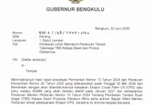 Pemprov Bengkulu Perketat Pengawasan Harga TBS Sawit