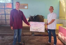 Perkuat Kepedulian Sosial, PTP Nonpetikemas Bengkulu Salurkan Hewan Kurban