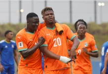 Piala Dunia 2026: Grup E, Profil Timnas Pantai Gading