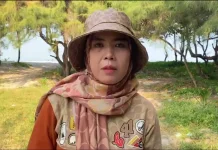 Pemkot Rawat Ribuan Pohon Kelapa Program Gempala di Pantai Panjang