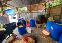 Pengusaha Tempe di Bengkulu Kurangi Ukuran Produk