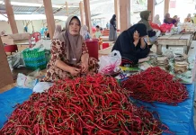 Harga Cabai Merah di Bintuhan Mulai Alami Penurunan