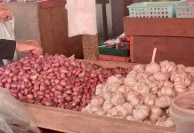 Harga Bawang Merah di Bintuhan Rp60.000/kg