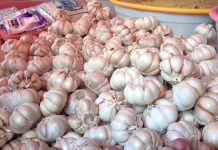 Harga Bawang Putih di Arga Makmur Naik