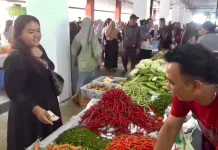 Harga Cabai di Arga Makmur Mulai Turun