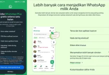 WhatsApp Plus Hadir, Pengguna Bisa Coba Gratis Selama Sebulan