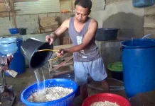 meski Harga  Kedelai Naik, Pasokannya Masih Stabil