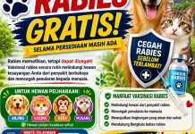 Vaksinasi Rabies Gratis Disambut Antusias, Pemilik Hewan Harap Rutin Digelar