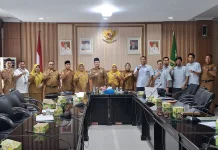 Pemerintah Percepat Listrik Masuk Desa, Siapkan Pembangunan 30 Lokasi di Bengkulu