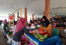 Harga Cabai di Kaur Berangsur Turun