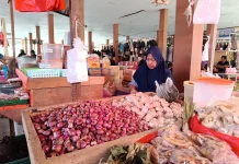 Harga Bawang Merah di Kabupaten Kaur Mulai Turun