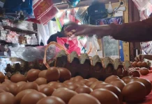Harga Telur Ayam di Bengkulu Berangsur Turun