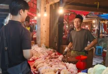 Stok Melimpah, Harga Daging Ayam di Bengkulu Mulai Turun