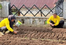 Ketahanan Pangan, Lapas Perempuan Bengkulu Optimalkan Lahan