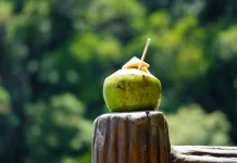 Air Kelapa, Minuman Alami yang Menyegarkan dan Kaya Manfaat bagi Tubuh