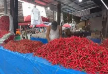 Pasokan Aman, Harga Cabai di Pasar Panorama Stabil