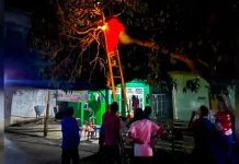 Penyelamatan Darurat Tugas Penting Damkar Selain Memadamkan Api