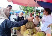 Musim Durian Jadi Berkah Tersendiri Bagi Masyarakat