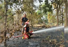 Kebun Cengkeh Warga Terbakar, Damkar dan BPBD Respon Cepat