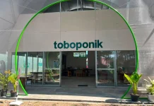 Wisata Toboponik Jenggalu Sajikan Pengalaman Edukasi Pertanian Modern