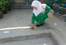Operasi Semut SMPN 11 Kota Bengkulu, Langkah Kecil Menumbuhkan Cinta Lingkungan
