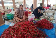 Harga Cabai Merah di Bintuhan Kembali Naik
