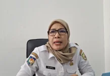 Sebagian Diterima Sekolah Rakyat, 24 PPPK Paruh Waktu Bengkulu Mengundurkan Diri