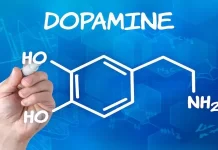Dopamine Menu yang Diklaim Bantu Kurangi Stres